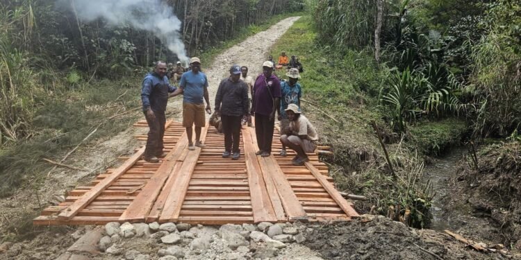 Bangun Jembatan Swadaya, Kadis PUPR Apresiasi Warga Distrik Wolo dan Bpiri