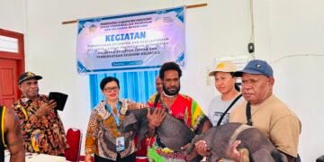 Asisten III Sekda Yahukimo Buka Kegiatan Pembentukan Kelompok UPPKA, Serahkan Bibit Ternak Babi kepada Kelompok Usaha