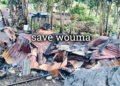 Menolak Pergi dari Tanah Kelahiran, Menatap Wouma yang Mencekam