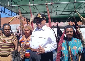 Pendataan OAP di Papua Pegunungan, Baru 2 Kabupaten yang Valid