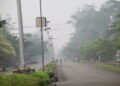 Kabut Asap Karhutla Papua Selatan Bergerak ke Utara, Yahukimo Turut Waspada