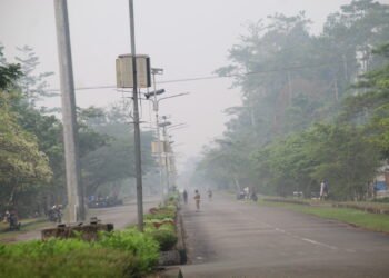 Kabut Asap Karhutla Papua Selatan Bergerak ke Utara, Yahukimo Turut Waspada